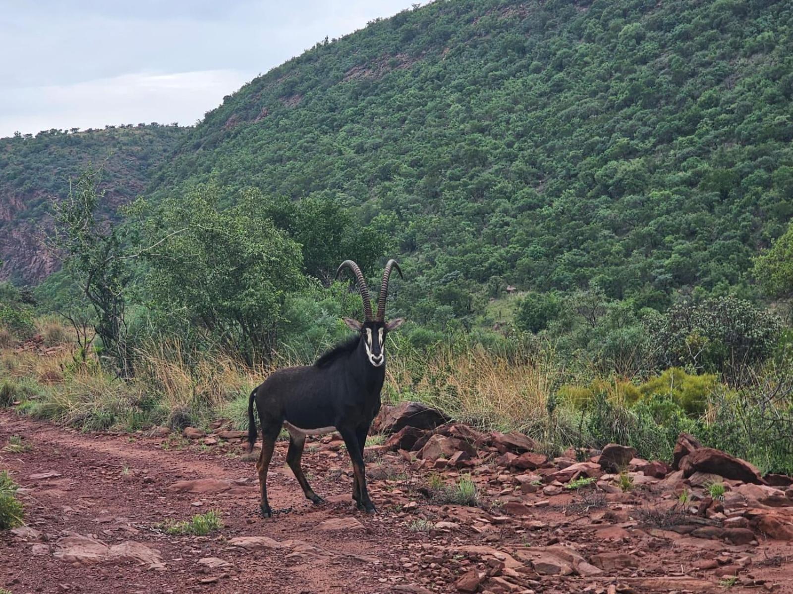 Waterfall Safari Lodge Winterkamp Exterior foto